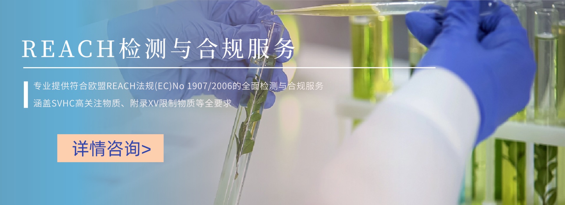REACH檢測(cè)與合規(guī)服務(wù)(圖1) REACH檢測(cè)與合規(guī)服務(wù)(圖1)